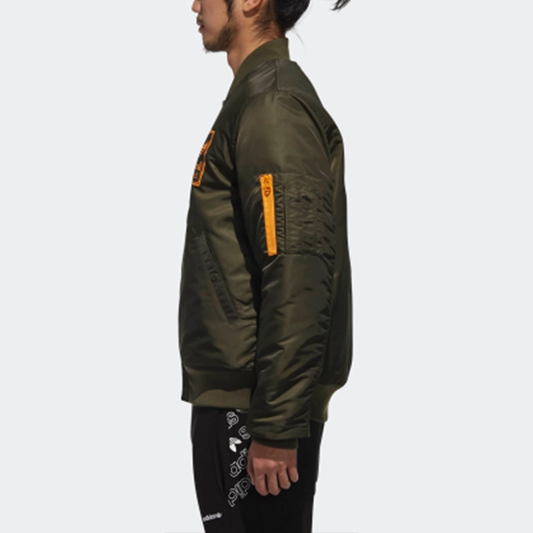 adidas originals Graphics Bomber