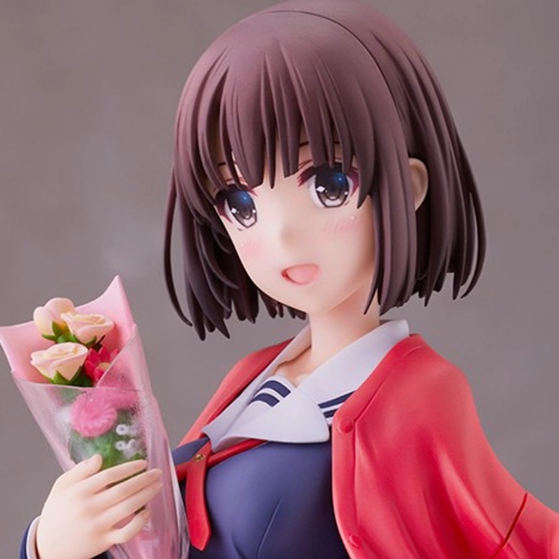 Aniplex fine ver. 25cm