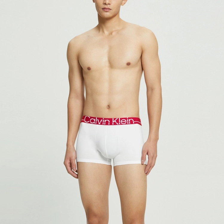 CKCalvin Klein Logo 1