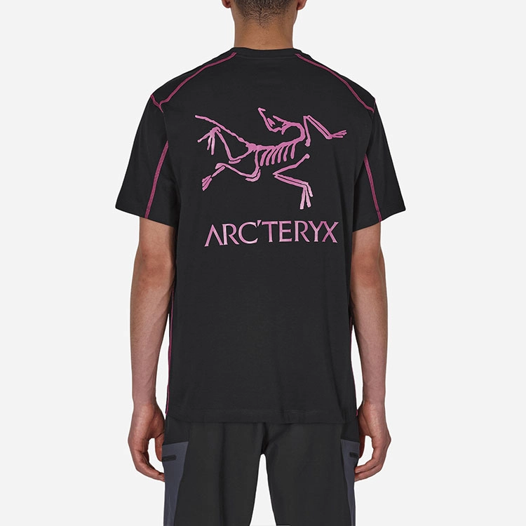 Arcteryx SYSTEM_A Copal Bird T-shirt Men's LogoT