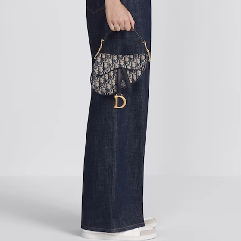 DIOR Saddle