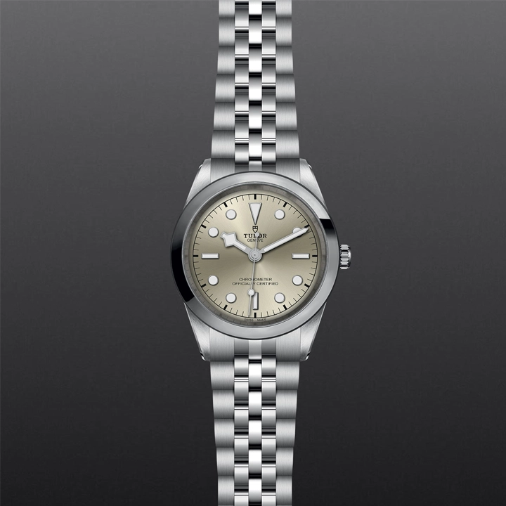 TUDOR 100 41mm M79680-0003