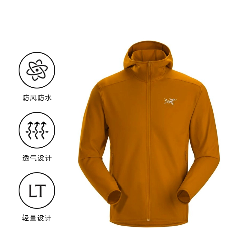 Arcteryx Kyanite Lt hoody