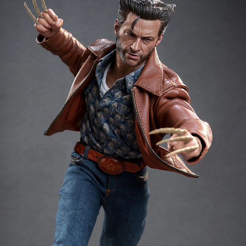 Hot Toys 16 x 30cm