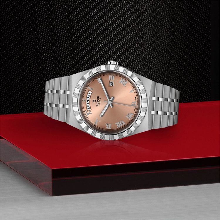 TUDOR 100 41mm M28600-0009