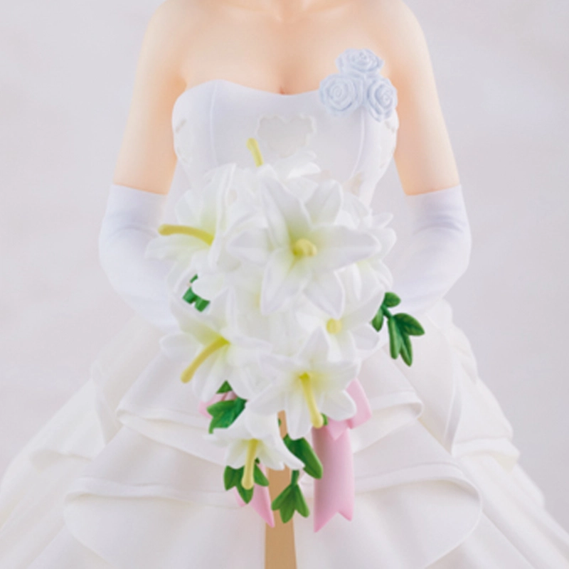 Aniplex ver. 22cm