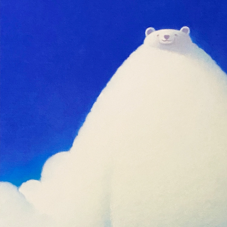26*19cm