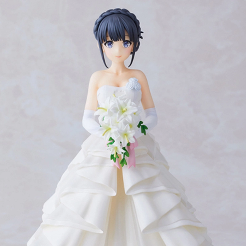 Aniplex ver. 22cm