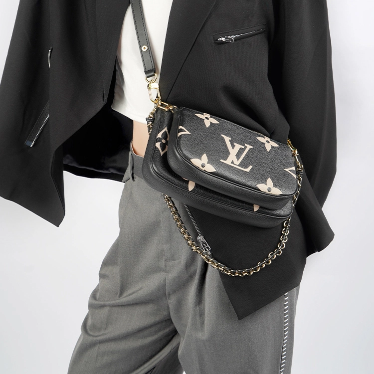 LOUIS VUITTON Multi Pochette