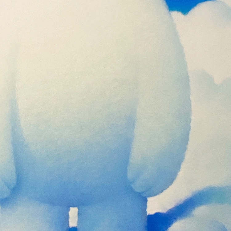 26*19cm