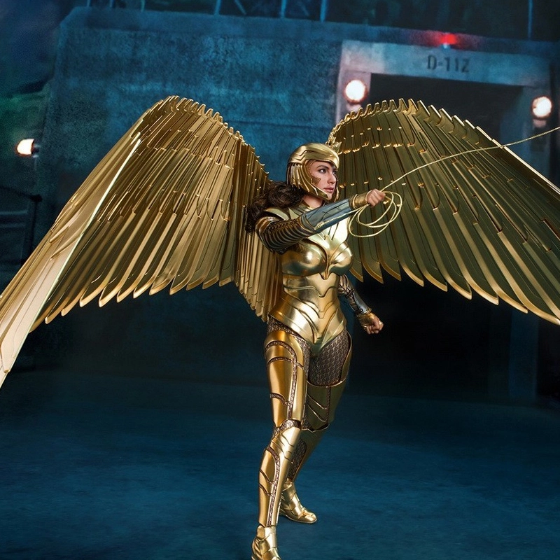 Hot Toys 16 5.0 30.5cm