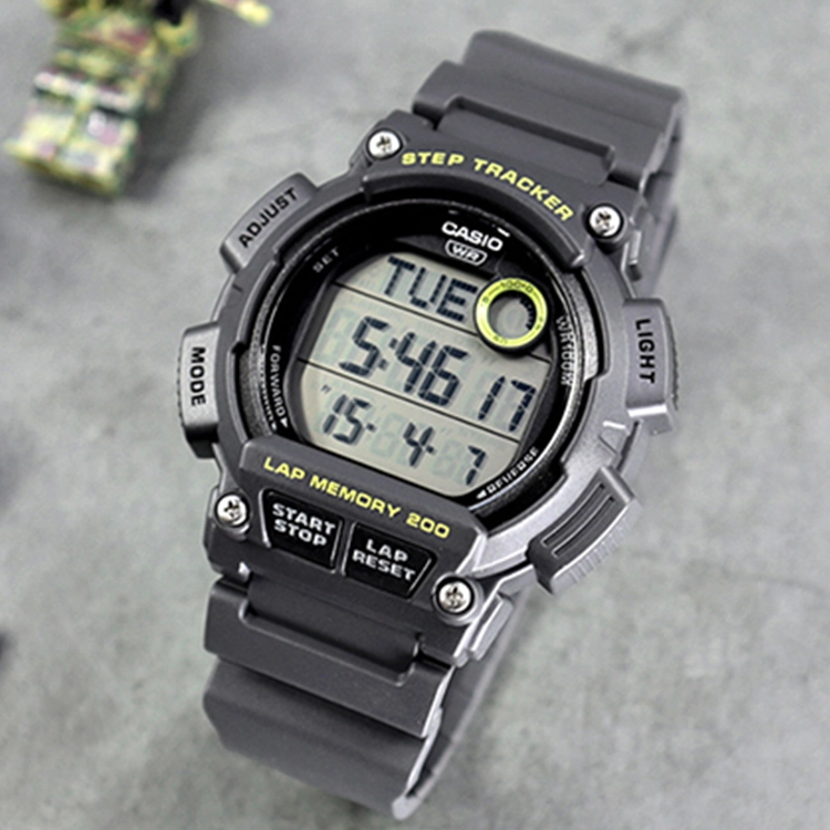 CASIO YOUTH LED 1100 WS-2100H-8AV