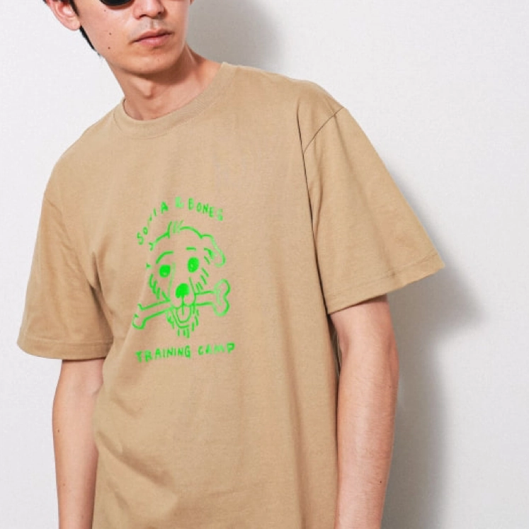 beams T
