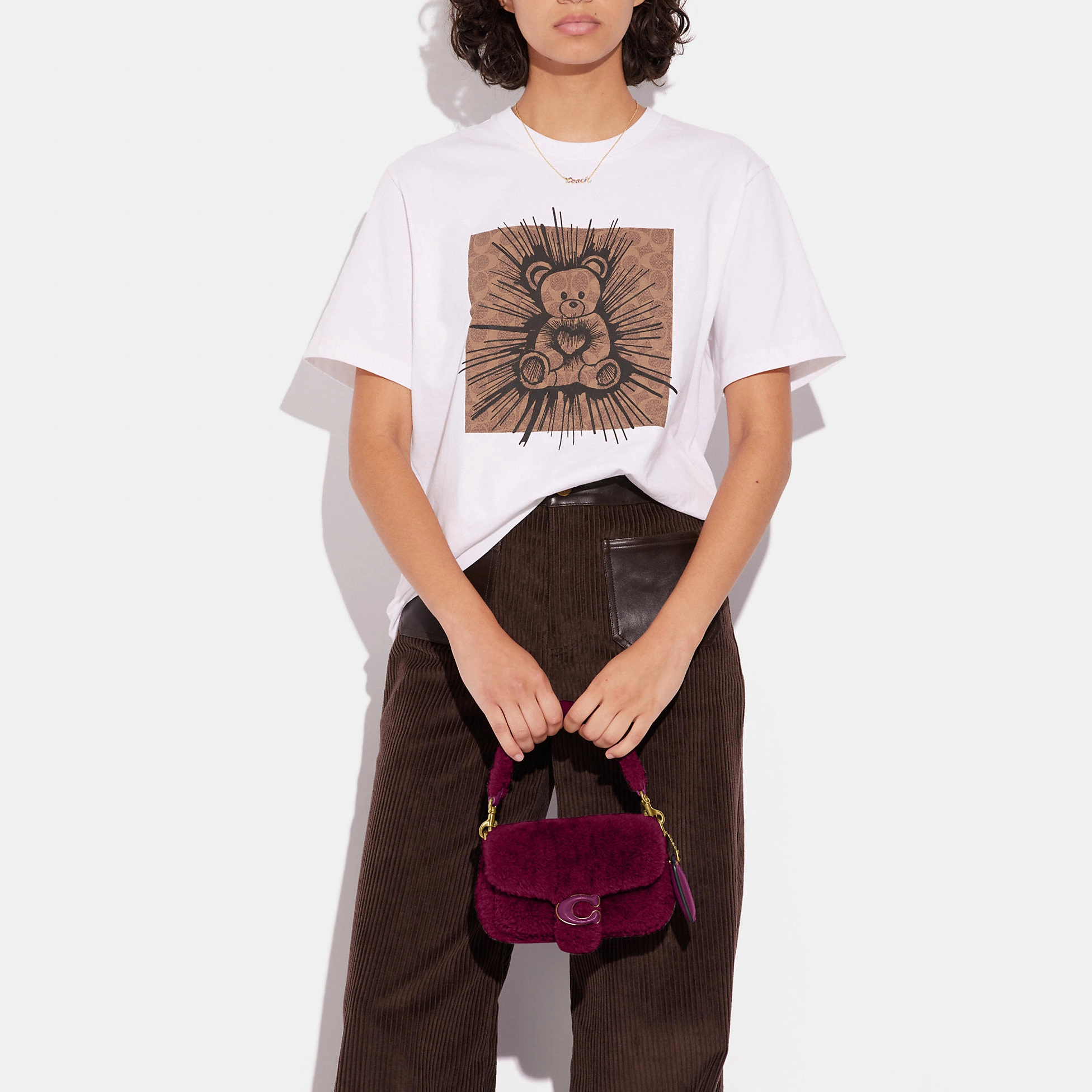 COACH Pillow 18