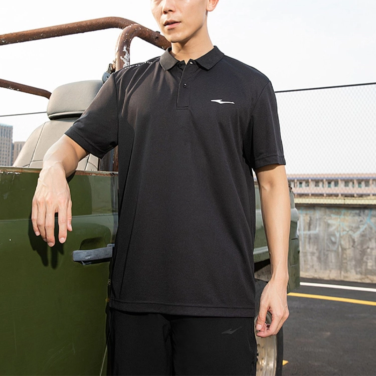 LogoPolo