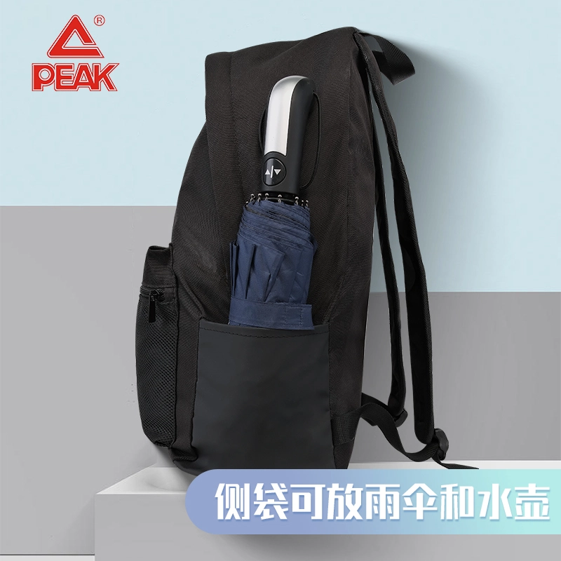 PEAK LOGO