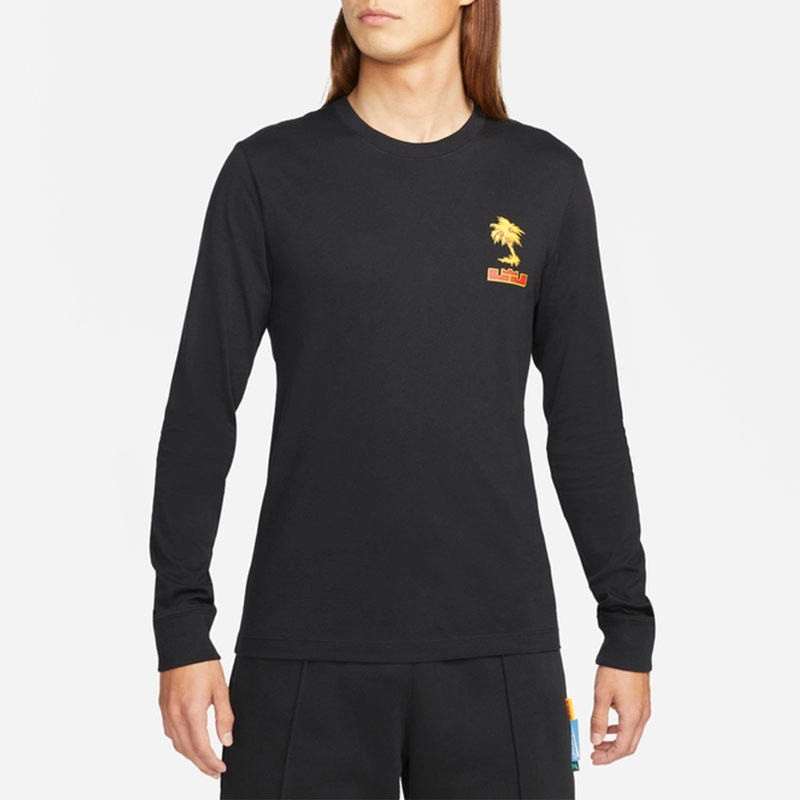 Nike Lebron Sfg T