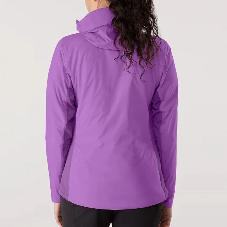 Arcteryx Atom logo