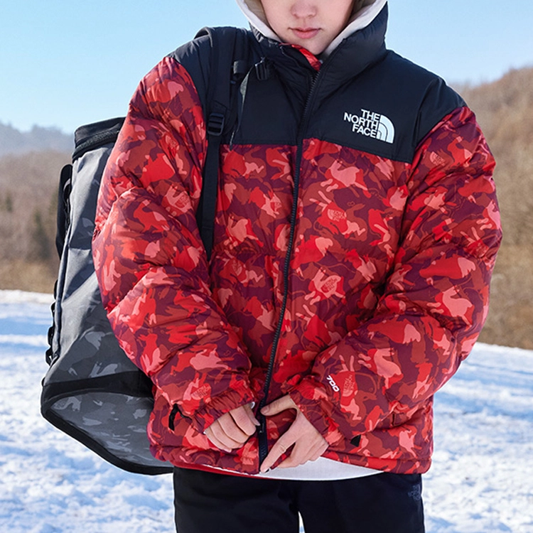 THE NORTH FACE 1996Nuptse Logo