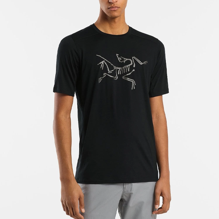 Arcteryx Ionia Merino Wool Logo Tee LogoT