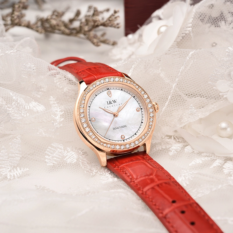IW CARNIVAL HWGUOJI DW8593L