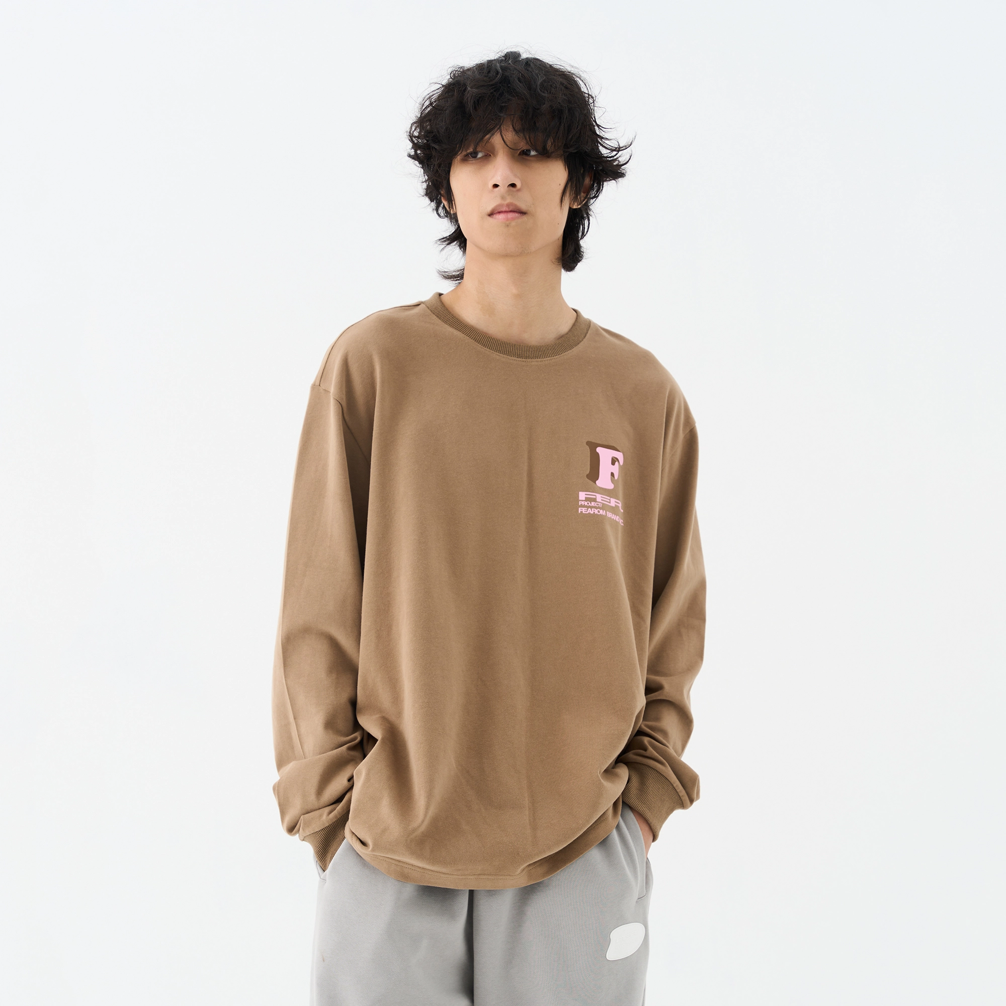 FEAROM T