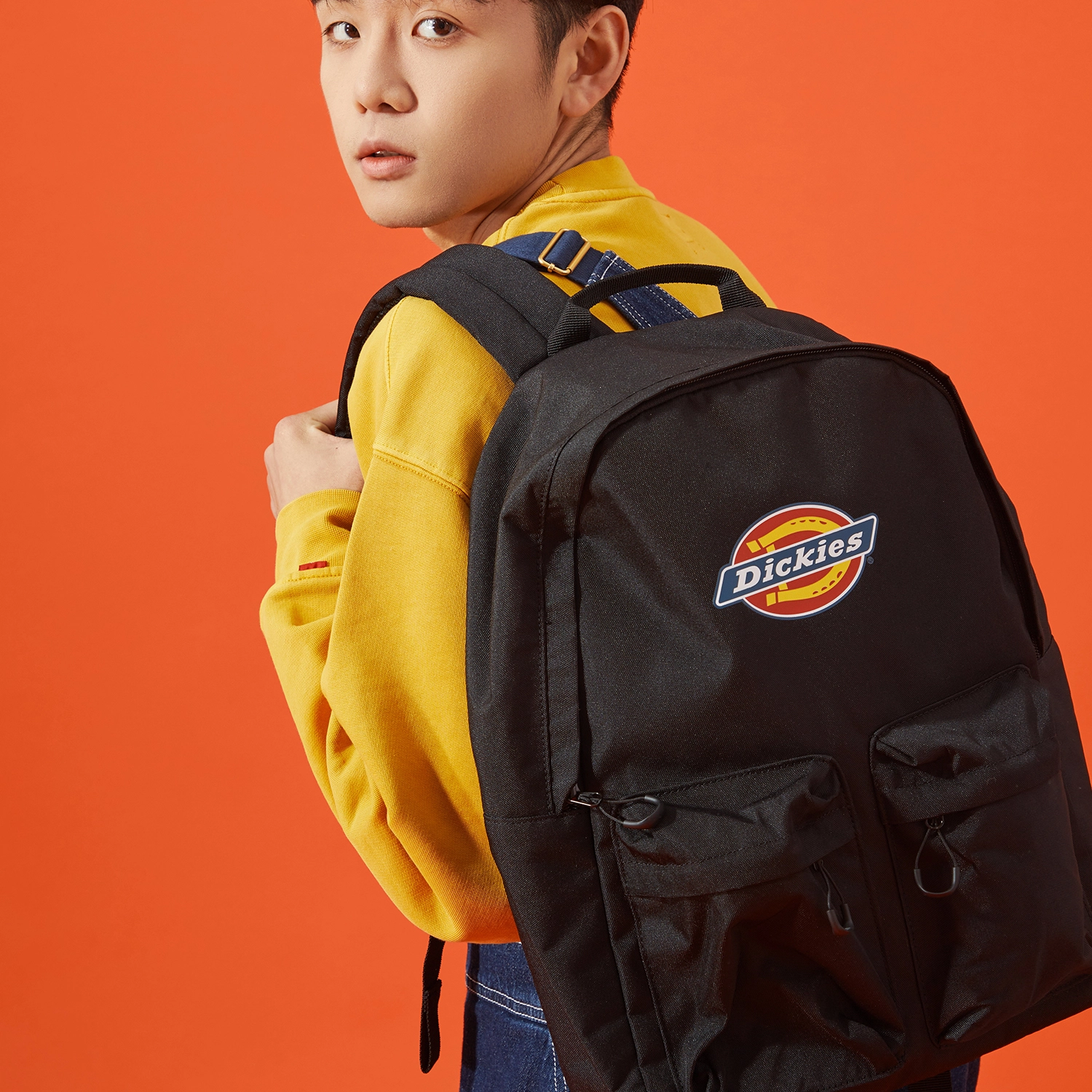 Dickies 100