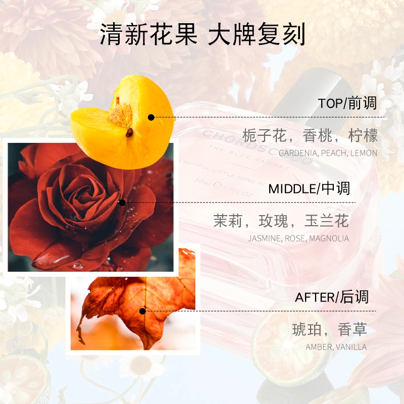 coco EDP 50ml
