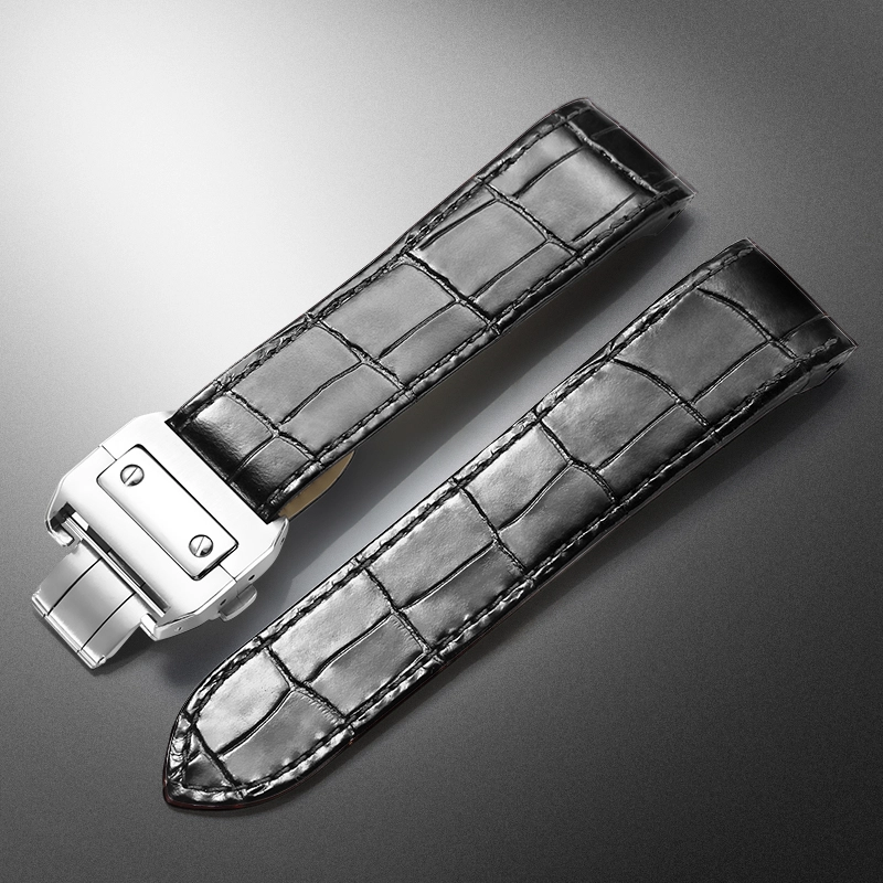 ZS 2023mm 2013121