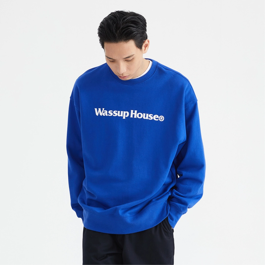 WASSUP Logo
