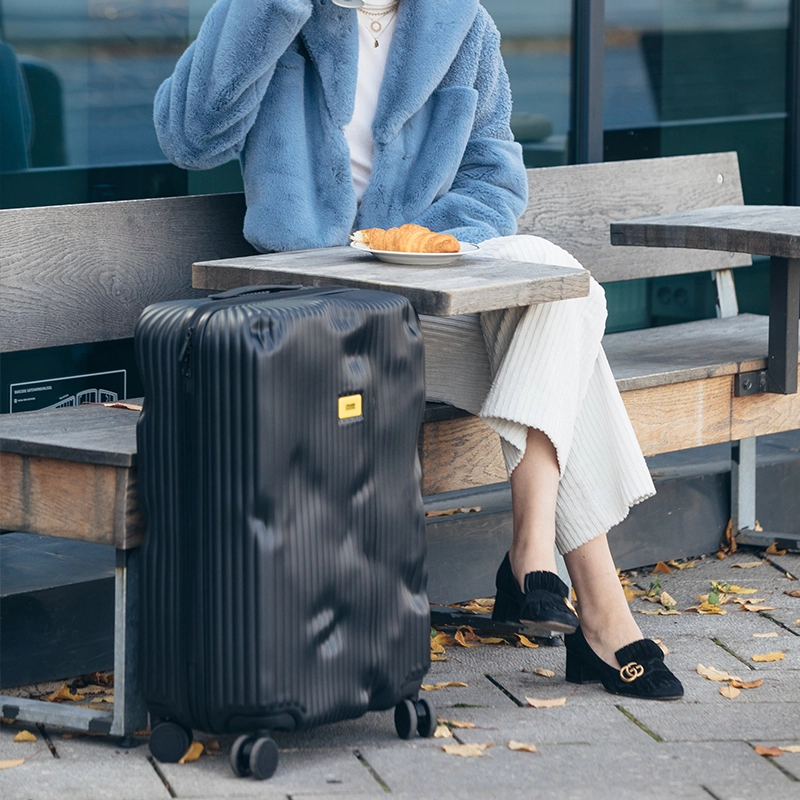 CrashBaggage PC 202428