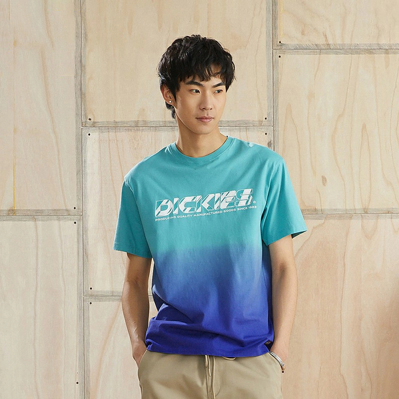 Dickies SS22 logoT