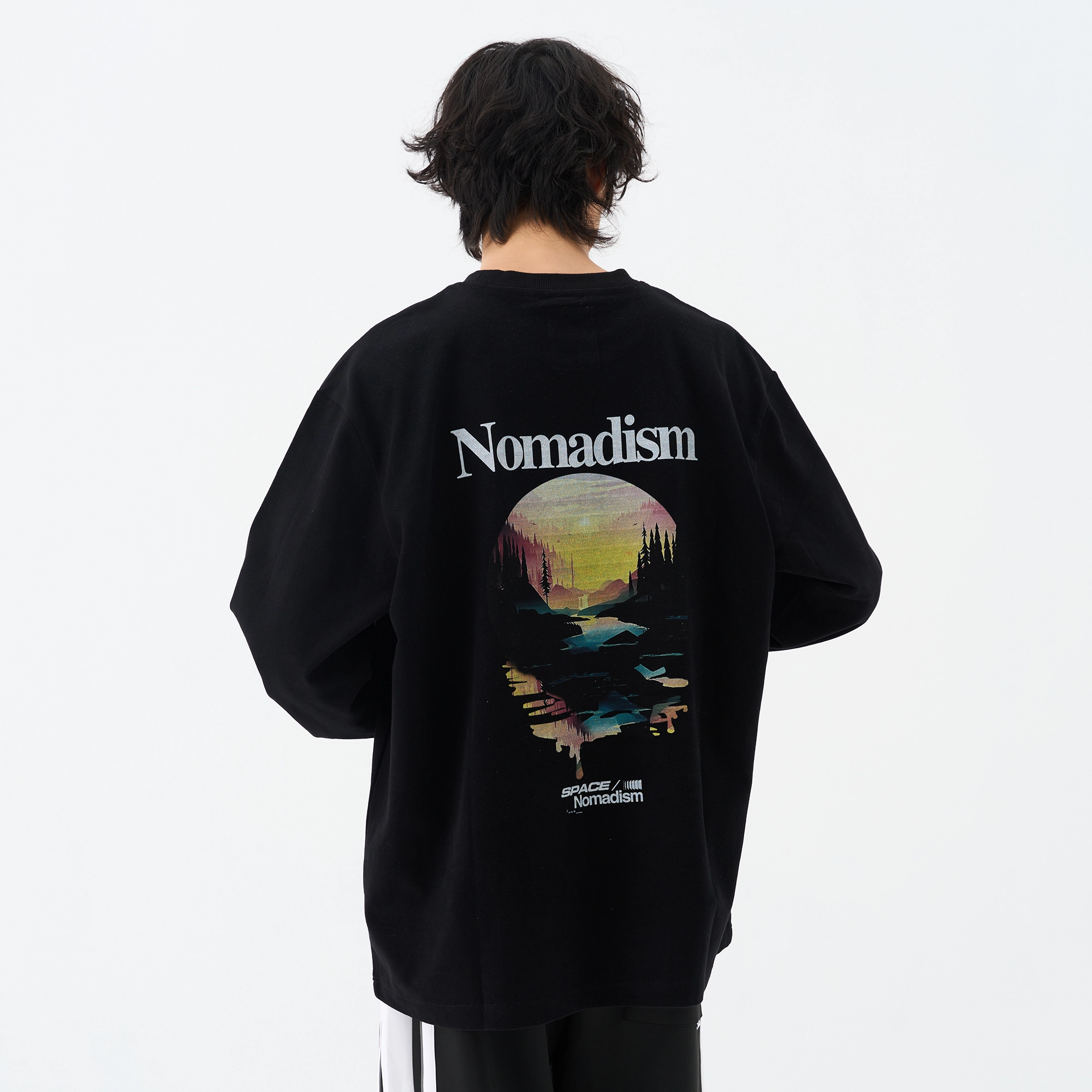 FEAROM T