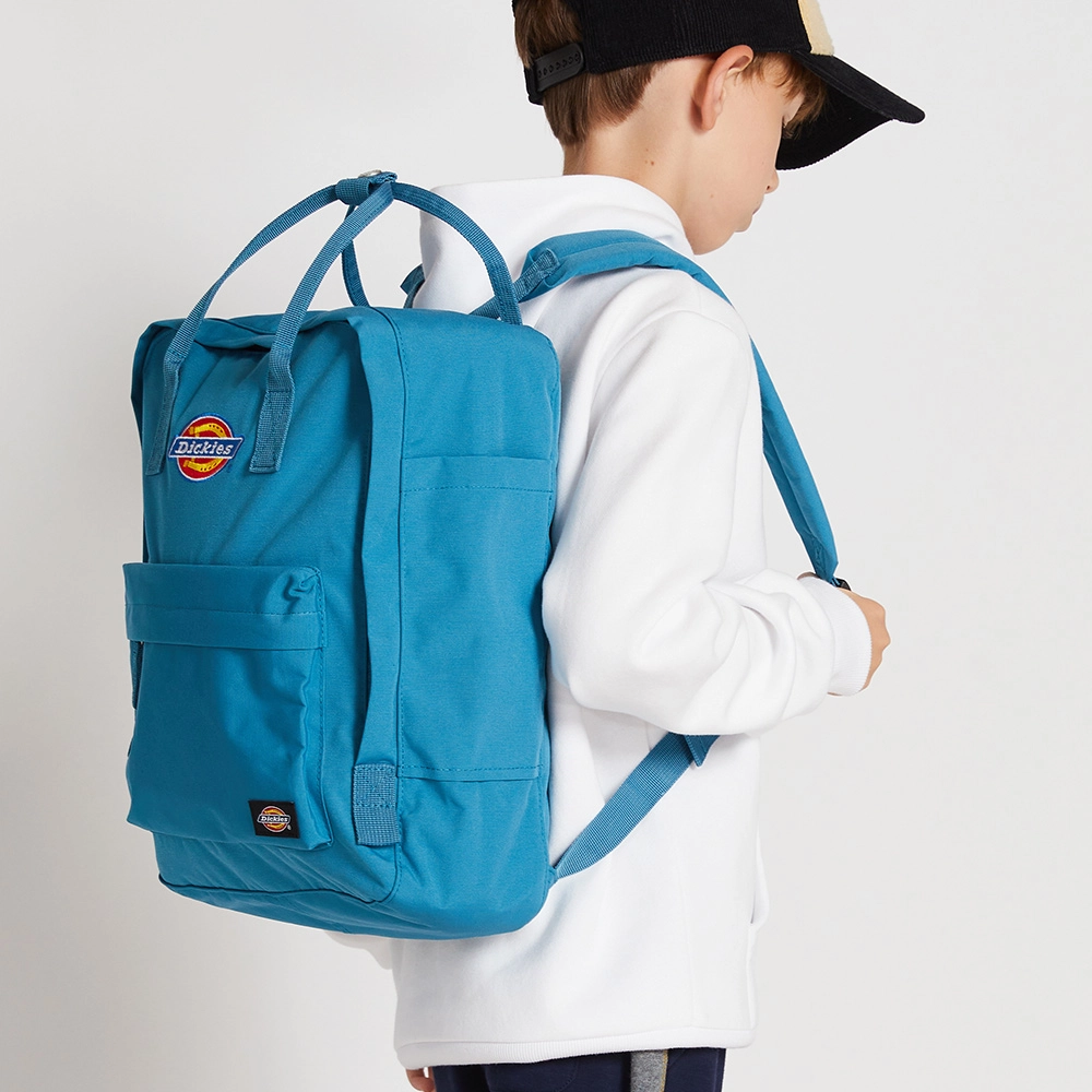 Dickies 14