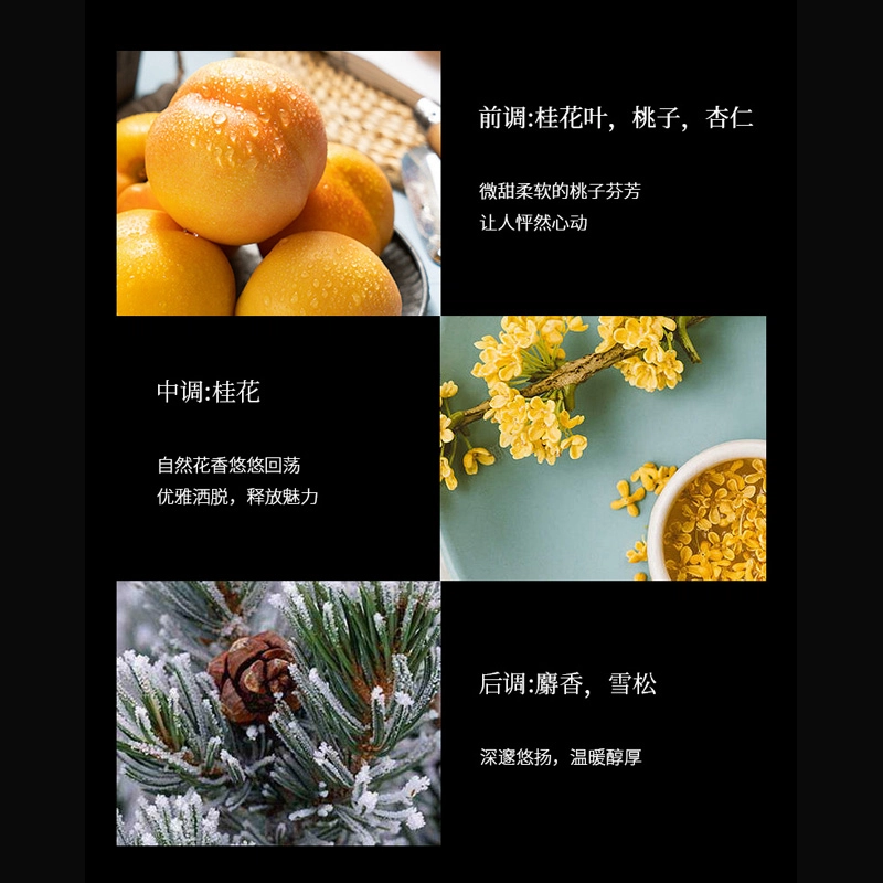 EDP 50ml