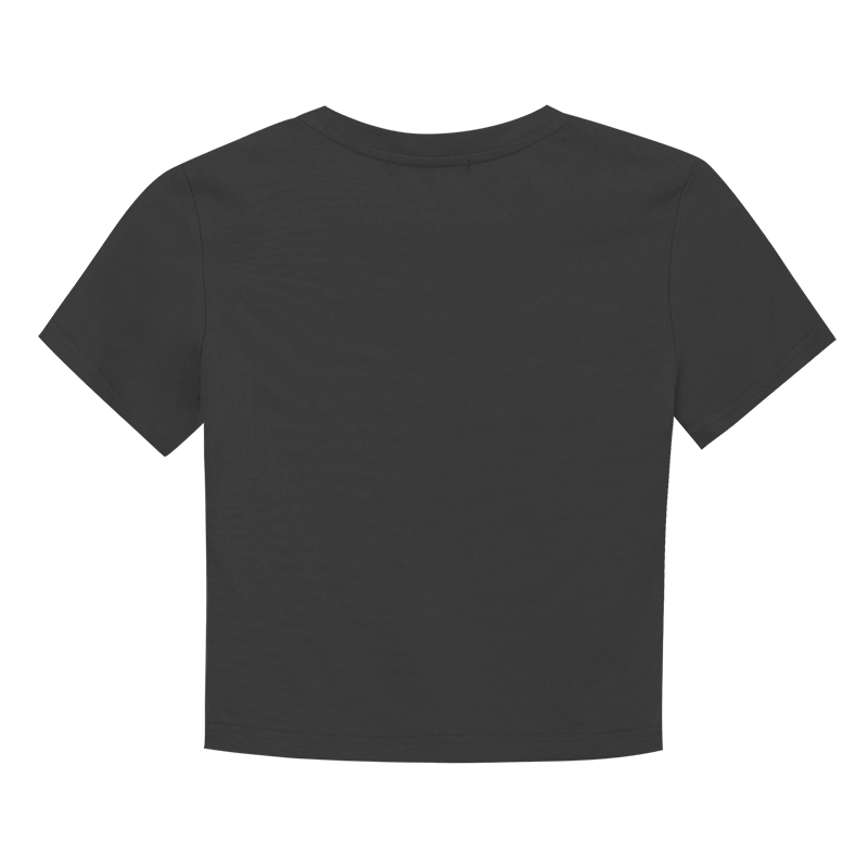 WESTLINK T