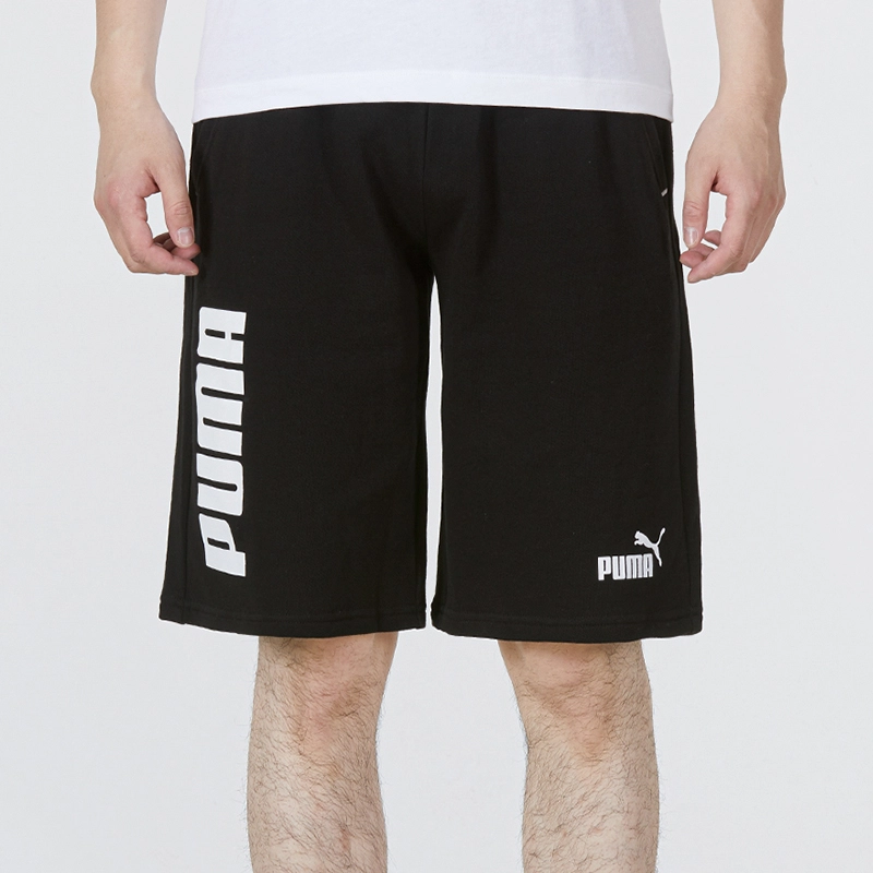 Puma Power Logo
