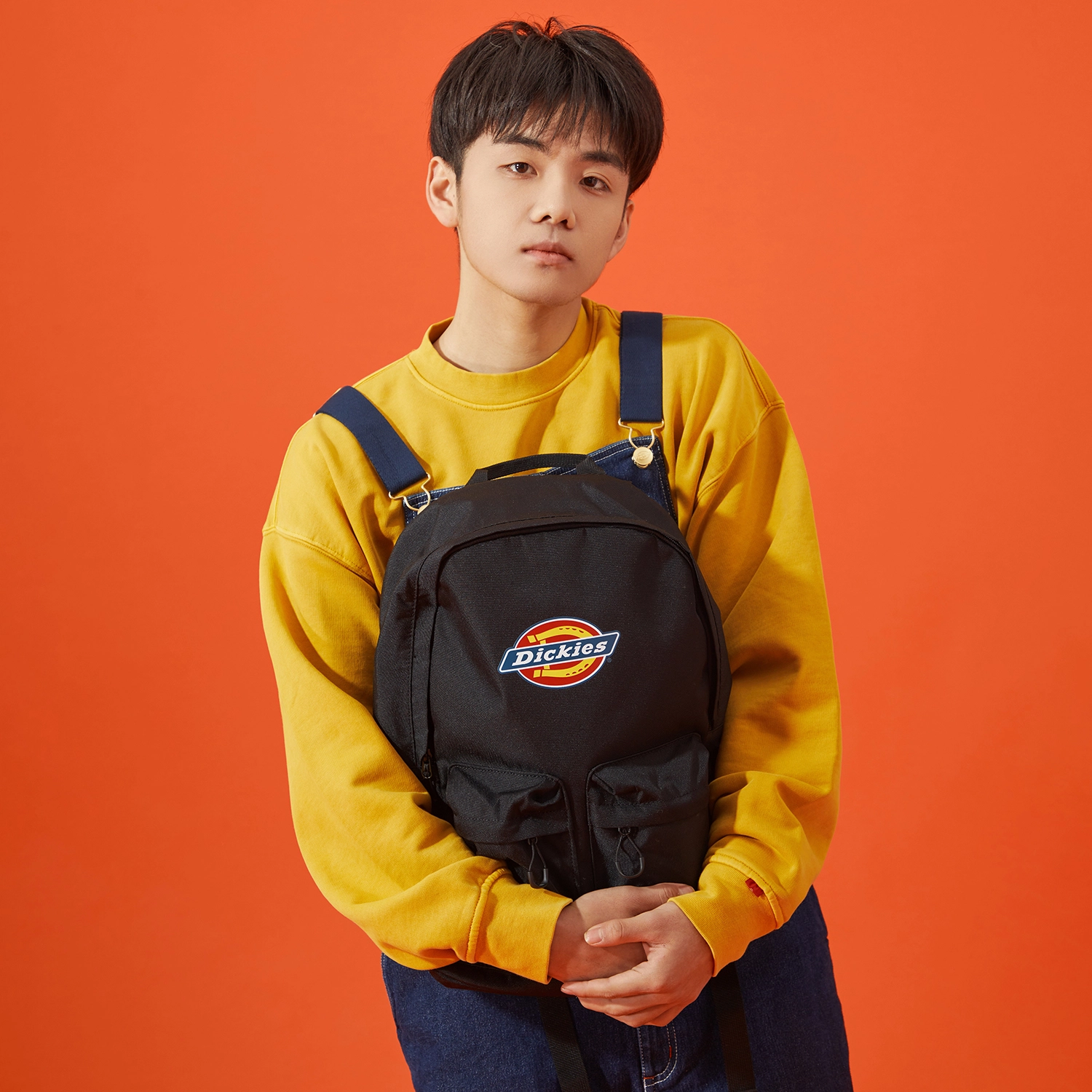 Dickies 100