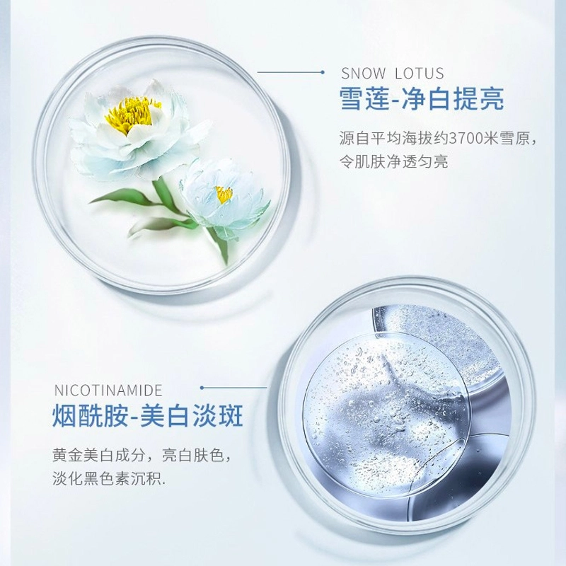 植物医生  雪莲净澈透亮修护晚安面膜