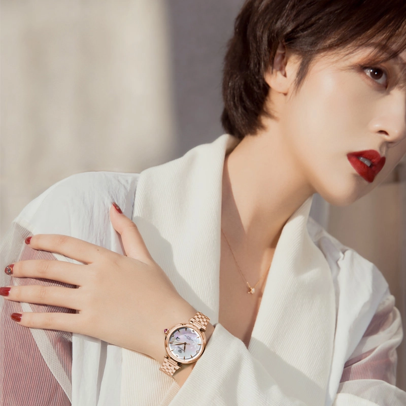 TIANWANG 51176