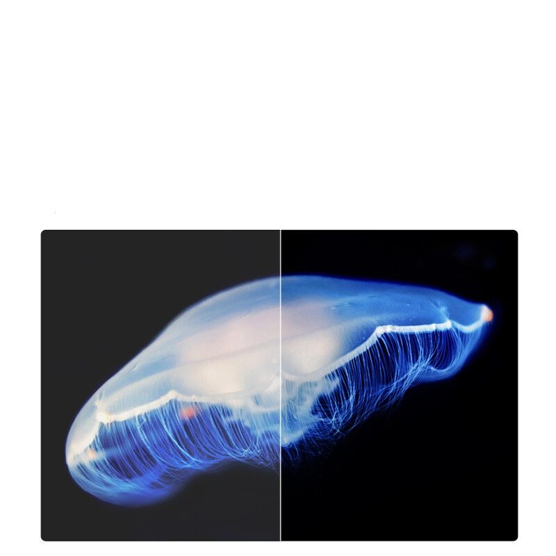6 OLED 55 4KHDR 4.6mm L55M7-Z2