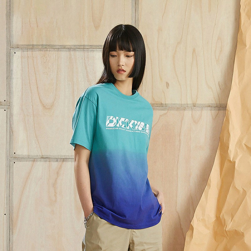 Dickies SS22 logoT