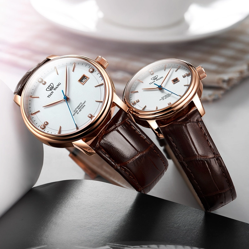 TIANWANG 50 51001