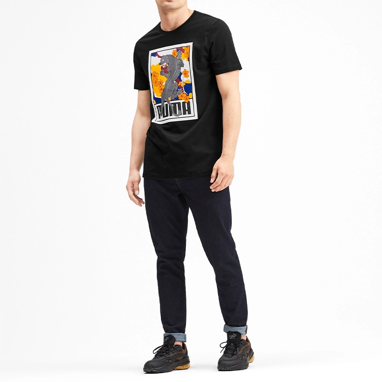 Puma T
