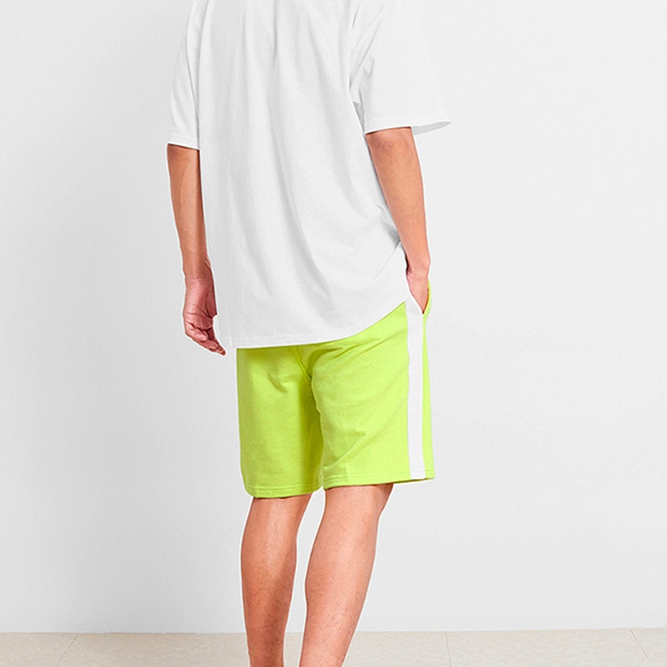 Vans FT Shorts