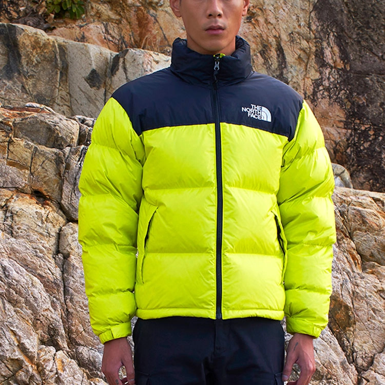 THE NORTH FACE 1996 Nuptse 700