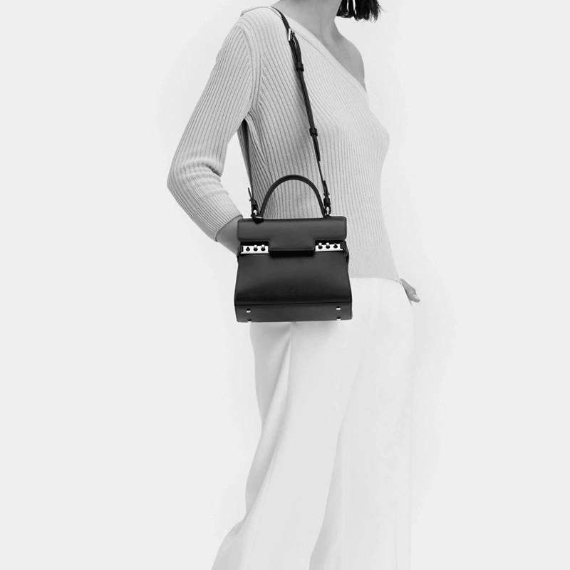 Delvaux Tempte