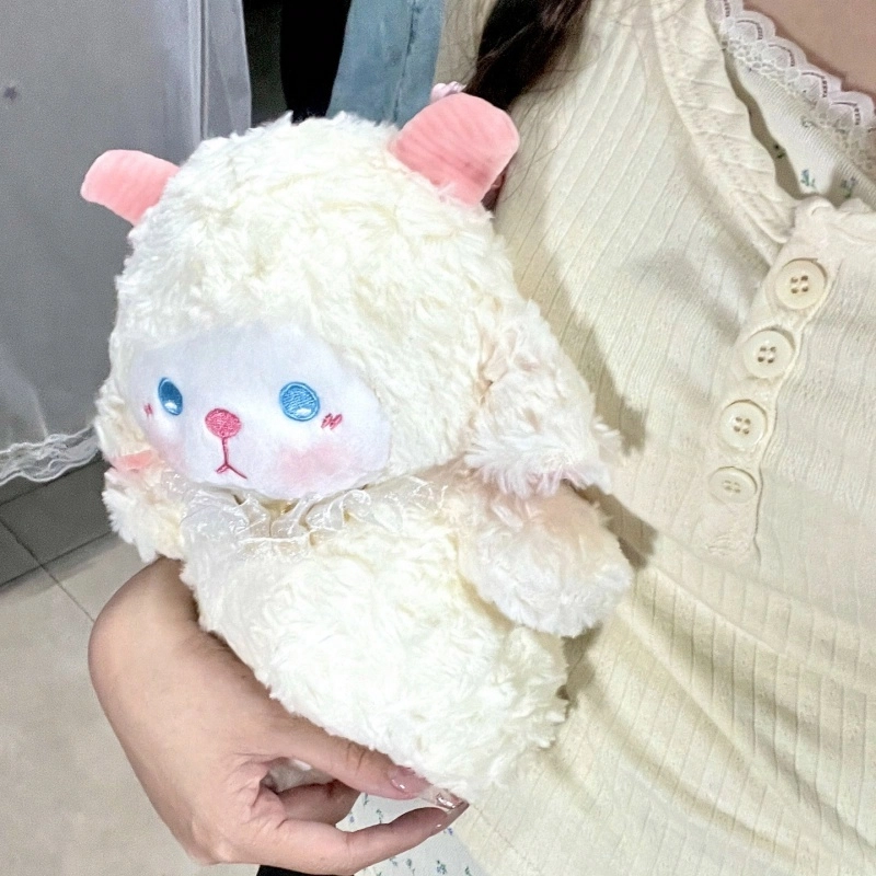 24cm