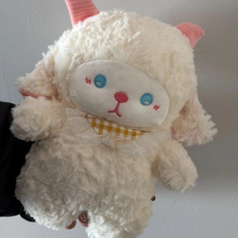 24cm