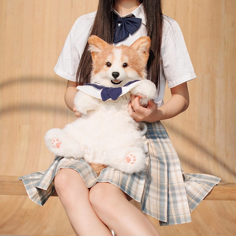 Chongker 50cm